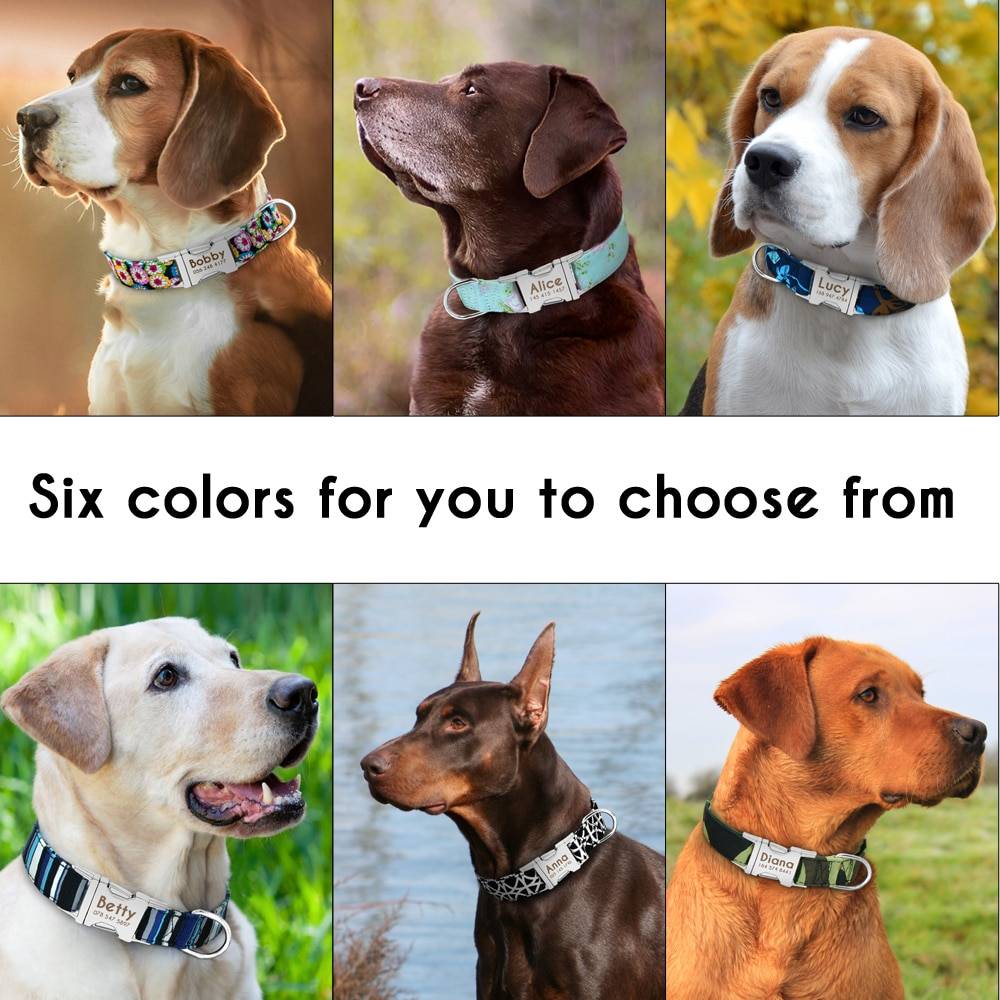 Dog Personalized Nylon Collar  My Pet World Store
