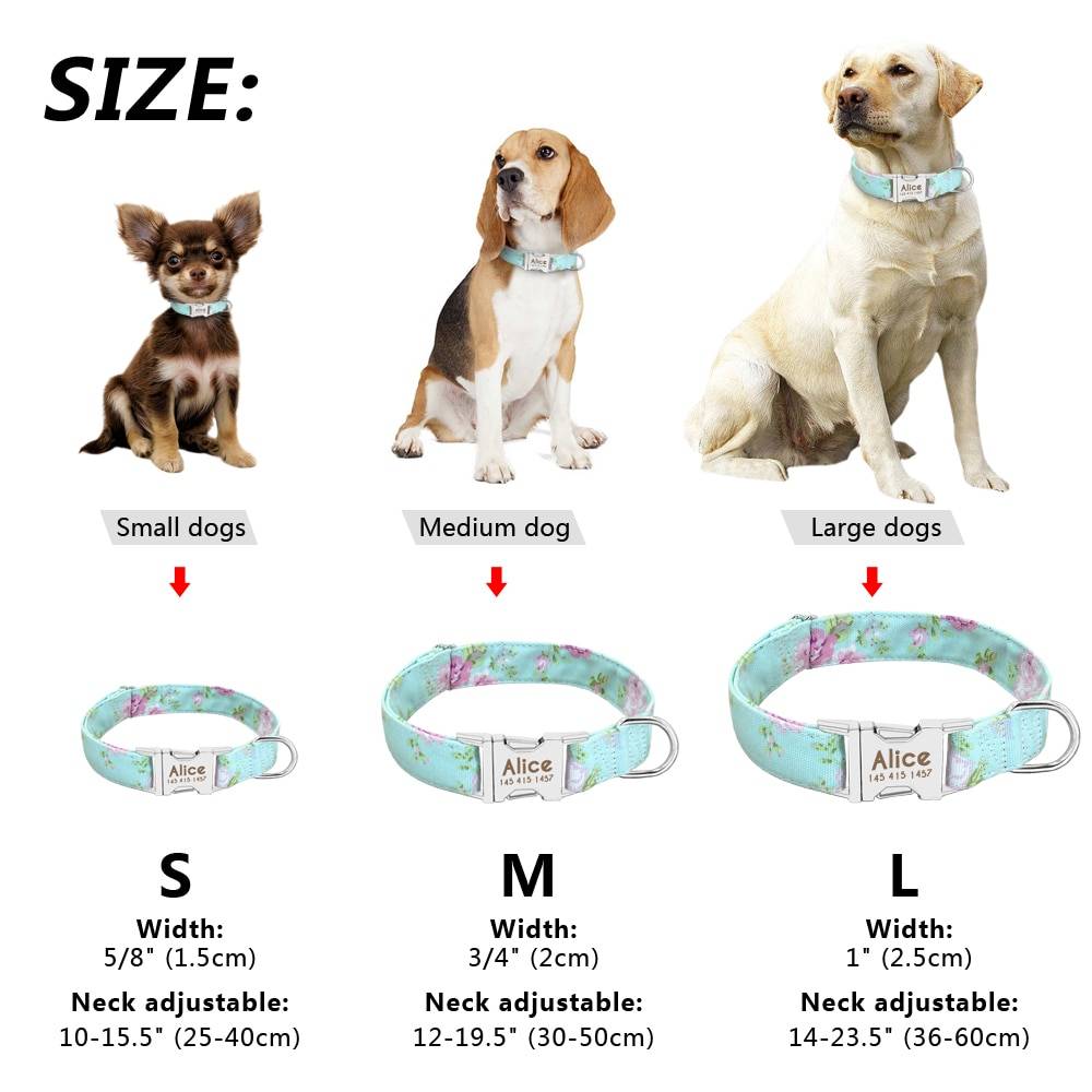 Dog Personalized Nylon Collar