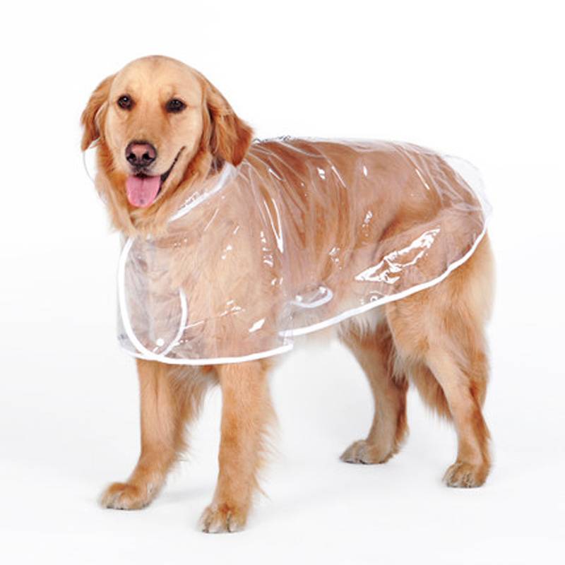 Transparent Autumn Dog Raincoat  My Pet World Store
