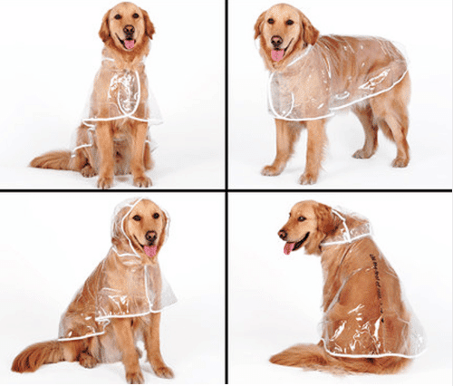 Transparent Autumn Dog Raincoat