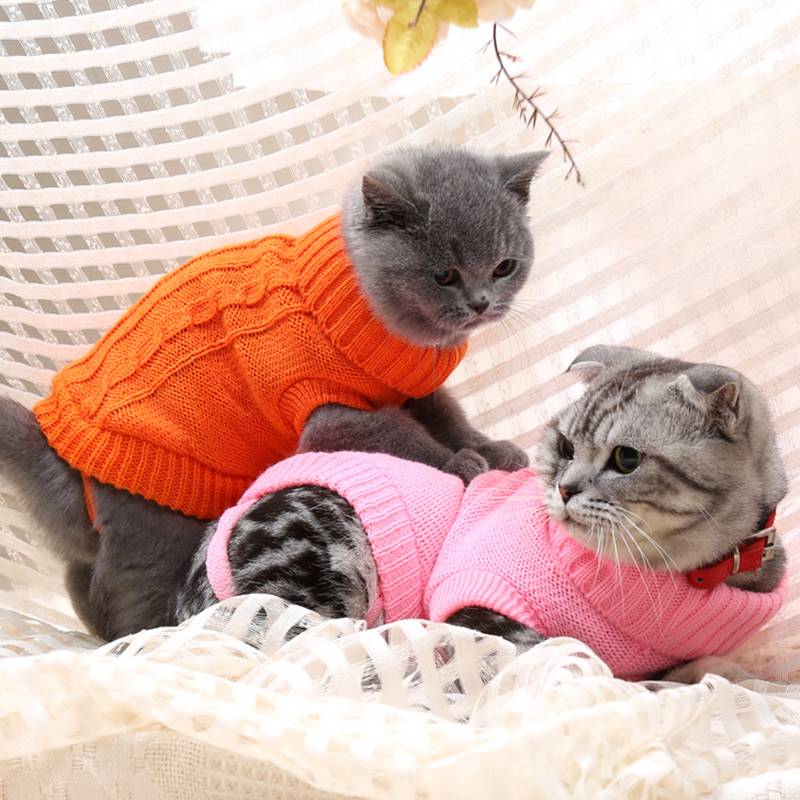 Warm Turtle Neck Sweater for Pets