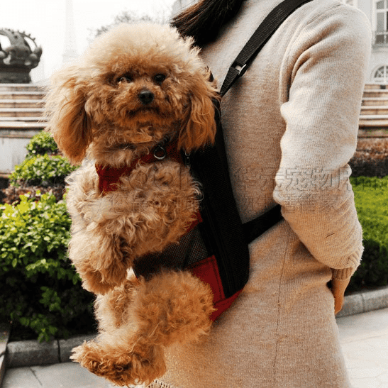 Breathable Sling Pet Carrier  My Pet World Store