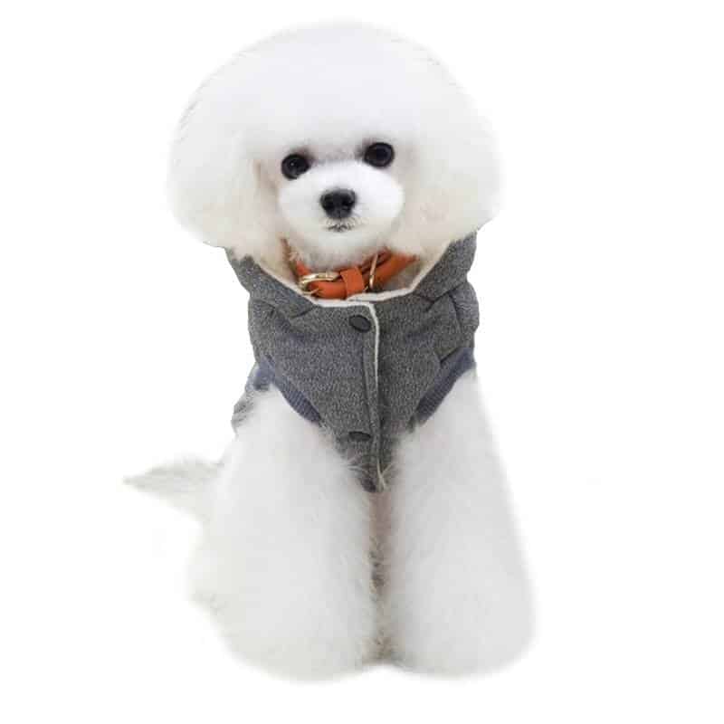 Cute Comfortable Winter Hooded Dog’s Vest  My Pet World Store