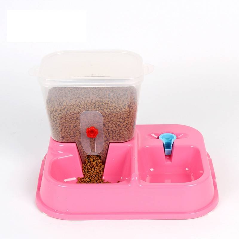 Automatic Colorful Cat Feeding Bowl  My Pet World Store