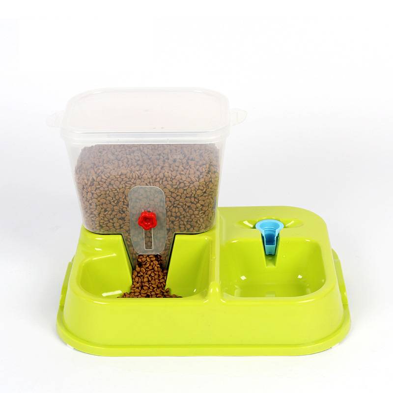 Automatic Colorful Cat Feeding Bowl  My Pet World Store