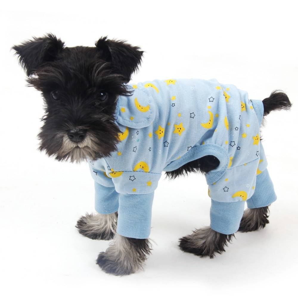 Lovely Comfortable Warm Cotton Jumpsuit for Small Dogs  My Pet World Store