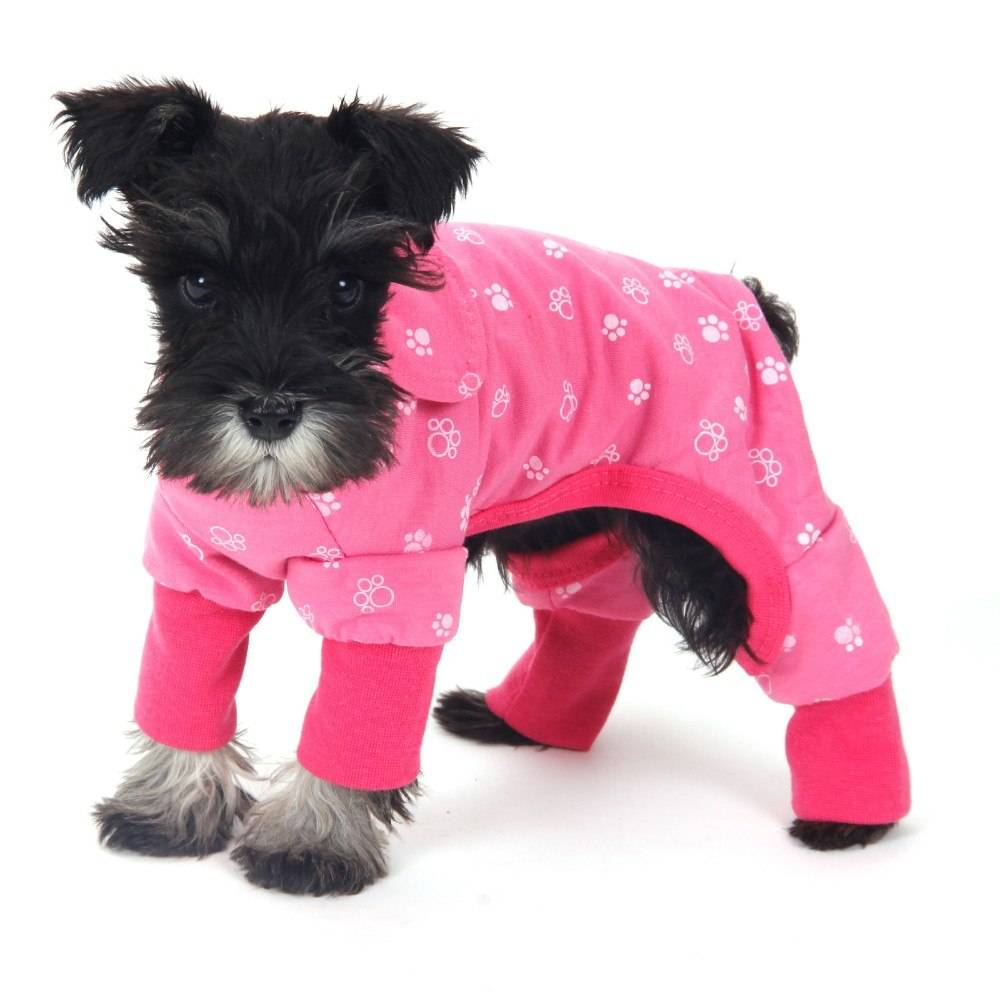 Lovely Comfortable Warm Cotton Jumpsuit for Small Dogs