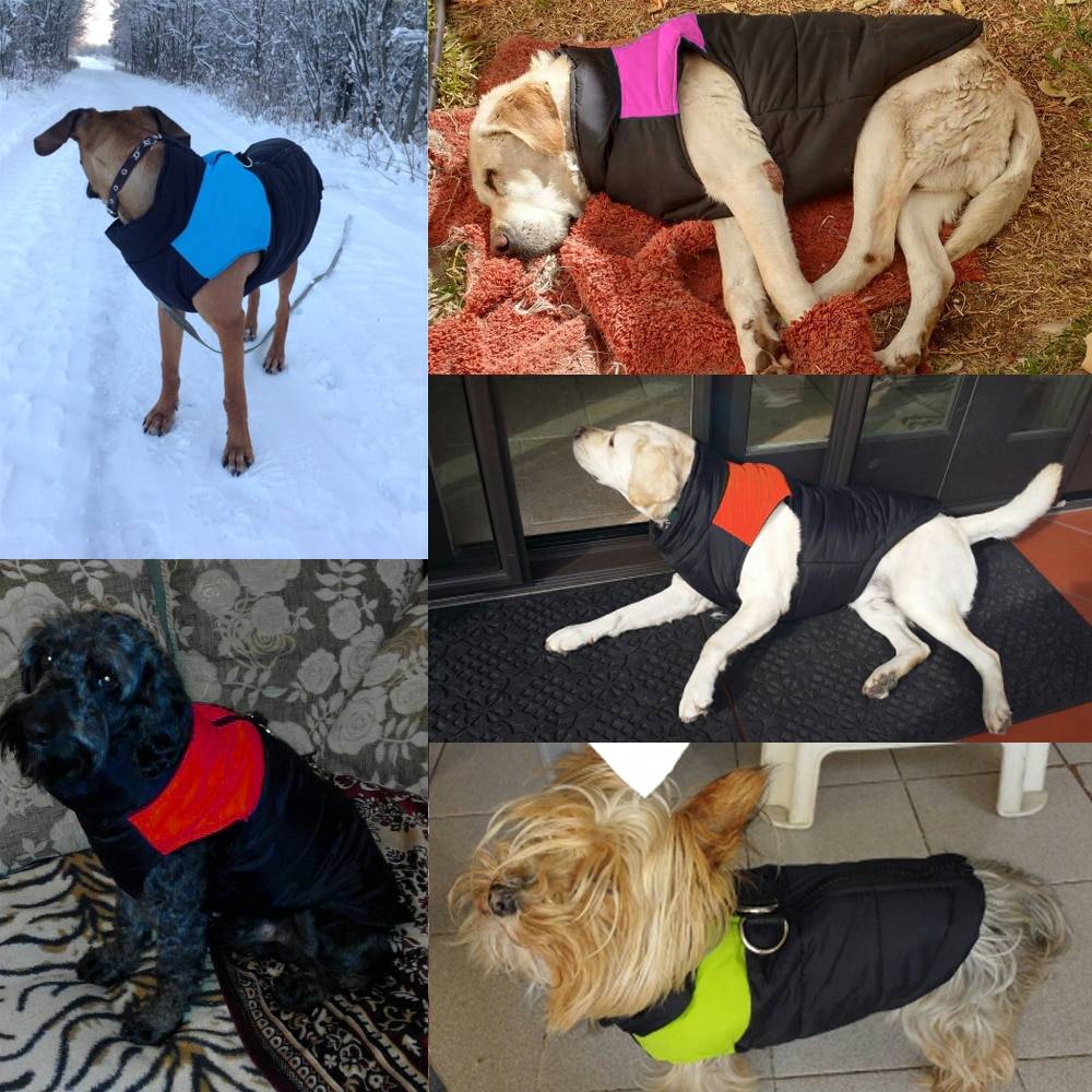 Fashion Waterproof Winter Dog’s Vest  My Pet World Store
