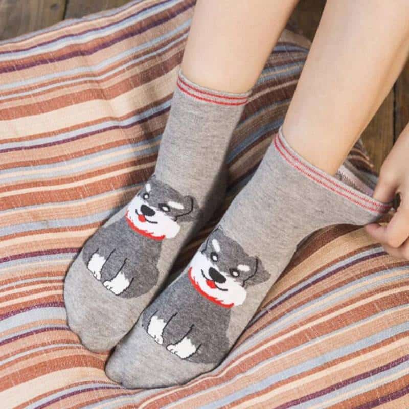 Women’s Cute Cats and Dogs Printed Socks 5 Pairs Set  My Pet World Store