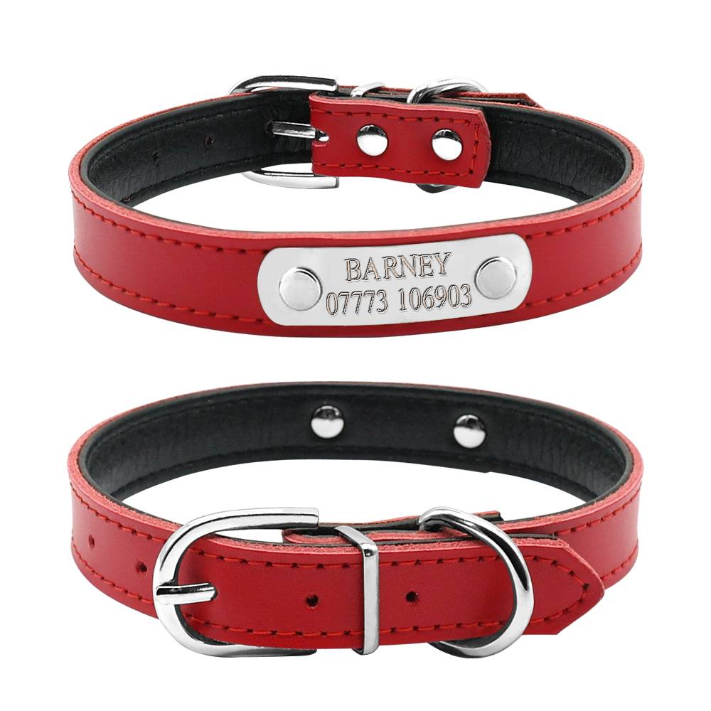Fashion Engraved Leather Collar  My Pet World Store