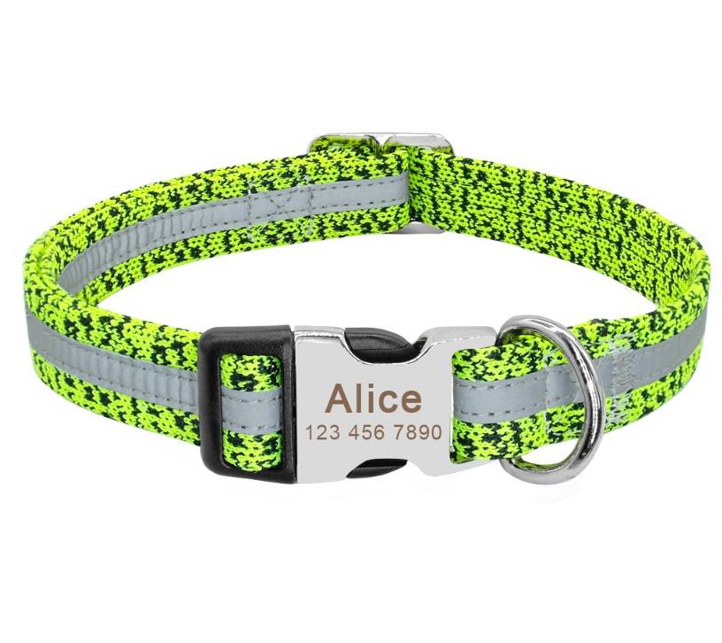 Dog’s Reflective Detail Printed Collar  My Pet World Store