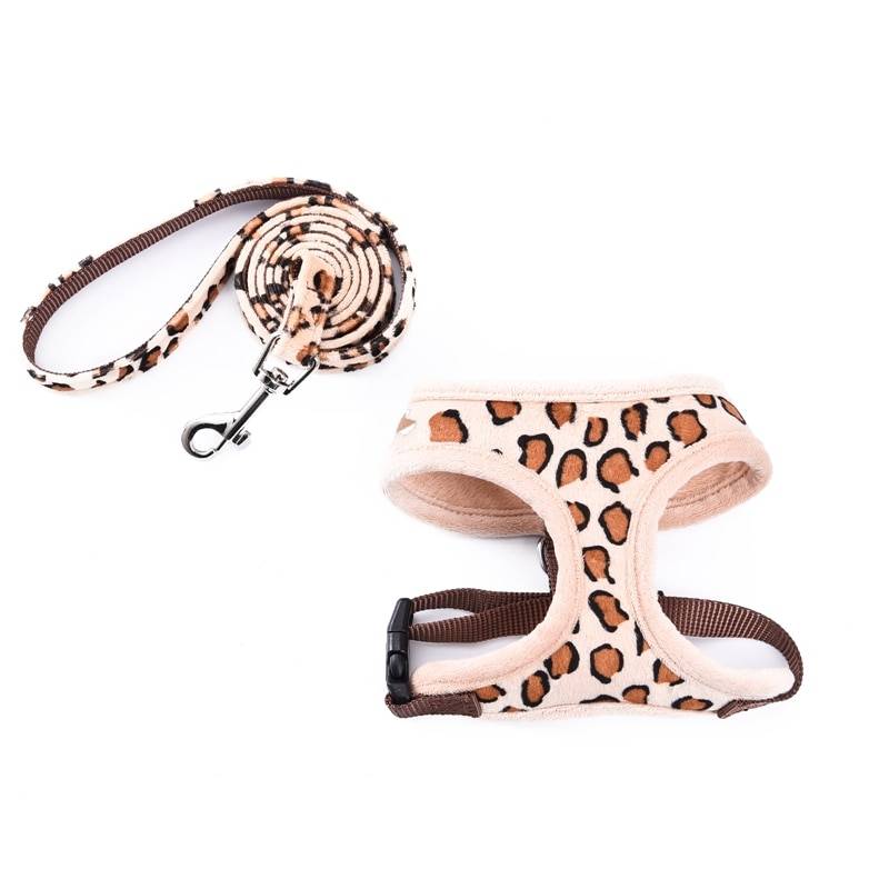Leopard Printed Belt and Harness Set for Dogs  My Pet World Store