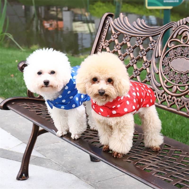 Polka Dot Printed Raincoat for Dogs