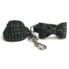 Collar Bow and Leash