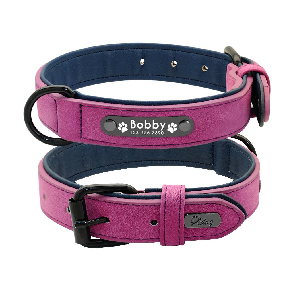 Dog’s Leather Collar with ID Tag  My Pet World Store