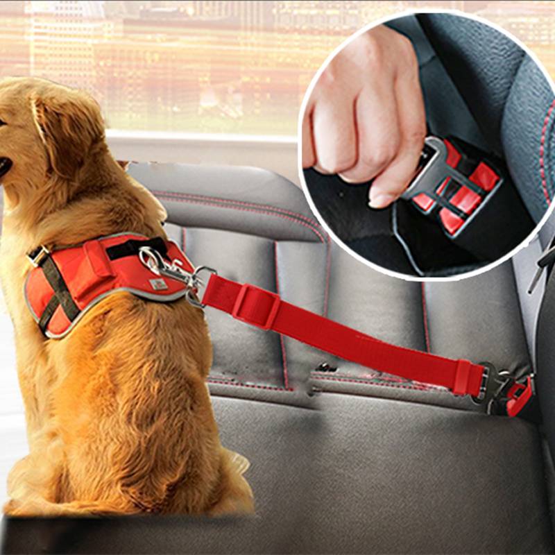 Safe Car Fiber Seat Belts For Dogs