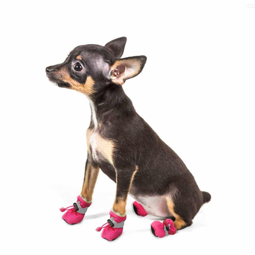 Waterproof Winter Shoes for Small Dogs and Puppies Set