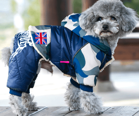 Dog’s Casual Warm Jacket  My Pet World Store