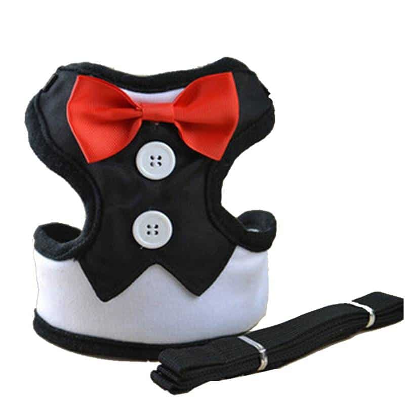 Fashion Dog Harness & Leash for small Dogs, Puppy Adjustable