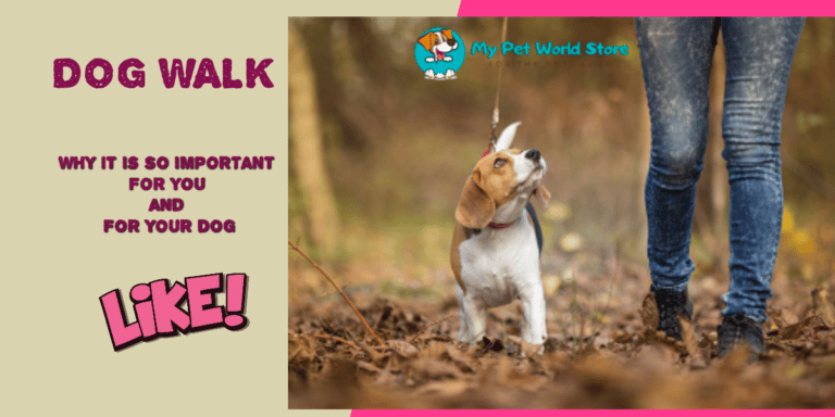 My Pet World Store 🐕DOG WALK WHY IT IS SO IMPORTANT☝️ FOR YOU AND FOR YOUR DOG 🐶 httpsmypetworldstore.comf09f9095dog wal 1