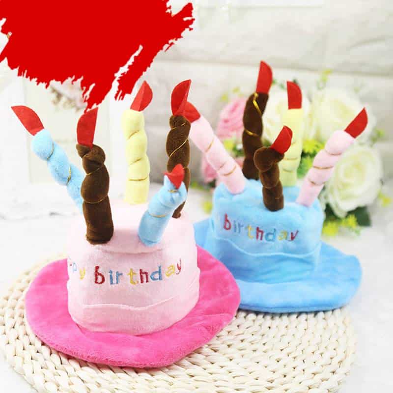 Pet Birthday Party Hat