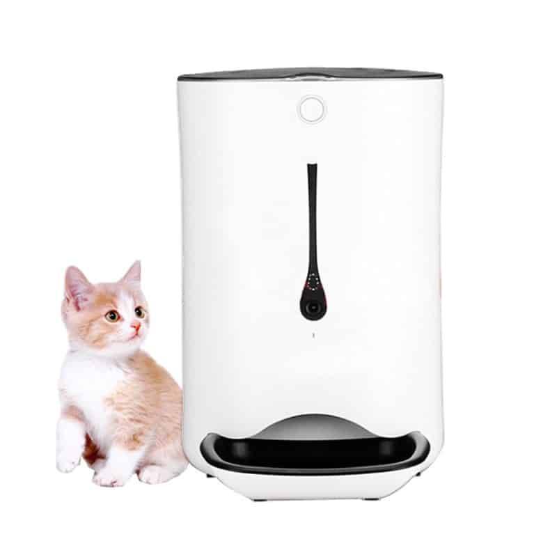 Smart Automatic Pet Feeder for Dogs and Cats  My Pet World Store