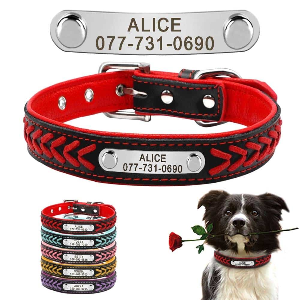 Custom Leather Dog Collar Personalized Engraved