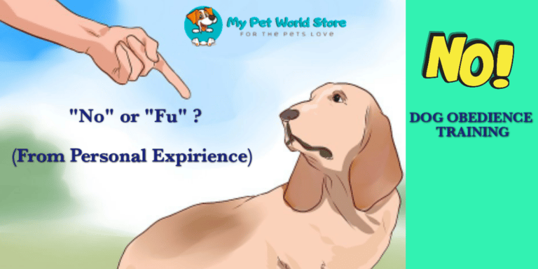 My Pet World Store httpsmypetworldstore.comp8834