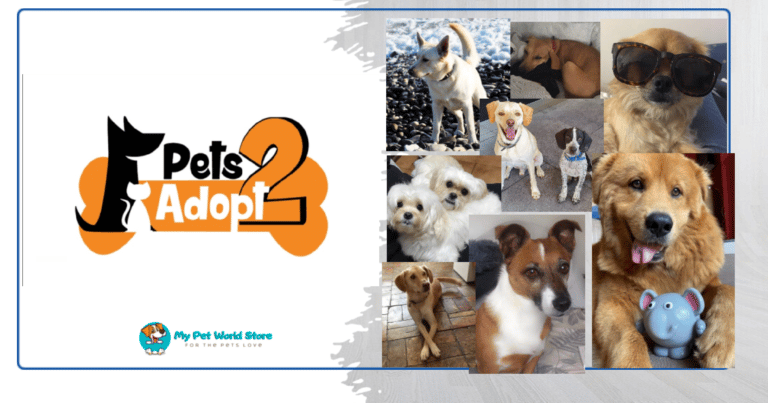 My Pet World Store PETS2ADOPT NON PROFITABLE ORGANISATION OF ANIMALS RESCUE AND ADOPTION httpsmypetworldstore.comp17244 1