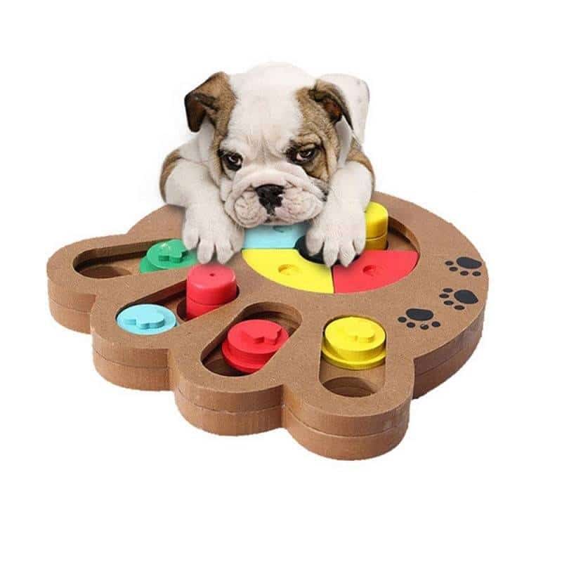 Dogs Educational Puzzle Treat Board  My Pet World Store
