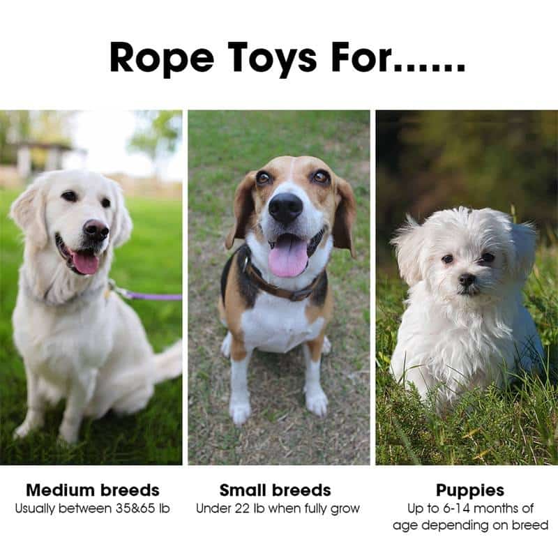 Multi Shape Option Rope Dog's Toy