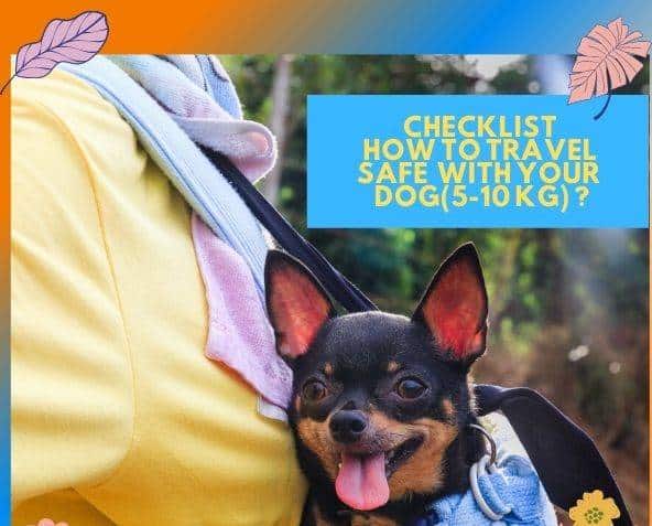 My Pet World Store Checklist How to travel safe with your dog 5 10 kg httpsmypetworldstore.comchecklist how to travel sa 2