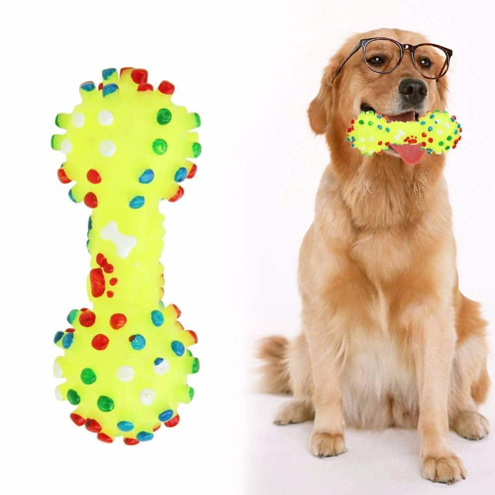 Rubber Squeaky Chew Toy