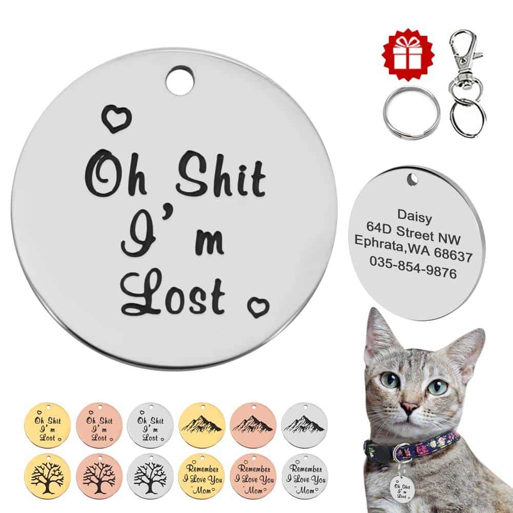 Collars, Harnesses & Leashes Dogs Customized I AM LOST PET ID Tag  My Pet World Store