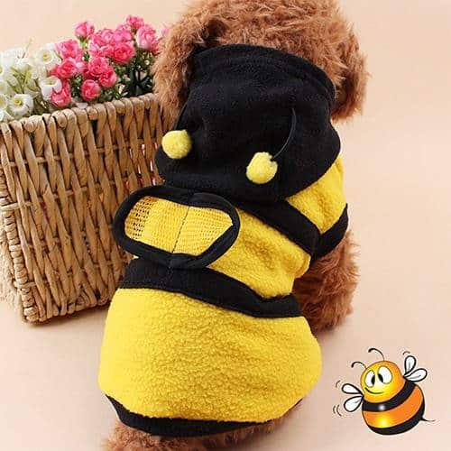 Clothing Dogs Cute Pet Hoodie Bee Style  My Pet World Store