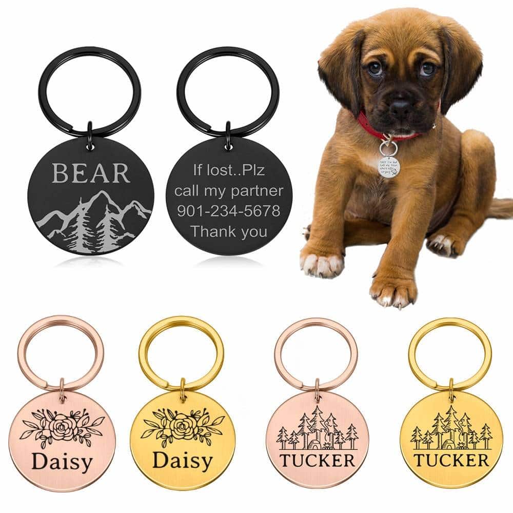 Collars, Harnesses & Leashes Dogs If lost please call my partner PET ID TAG  My Pet World Store
