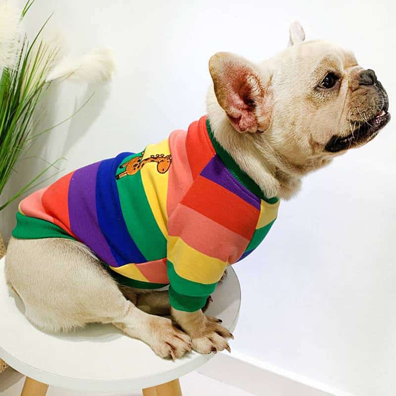Warm Colorful Striped Owner and Pet Matching Hooides Set