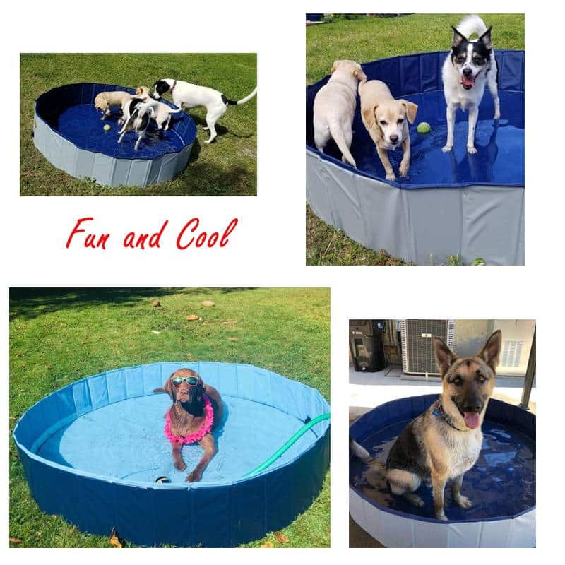 Portable and Foldable Summer Dog Pool
