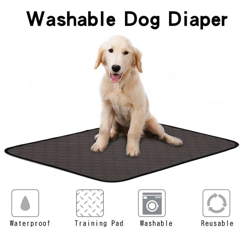 Reusable Dog Waterproof Mat for Puppy Training