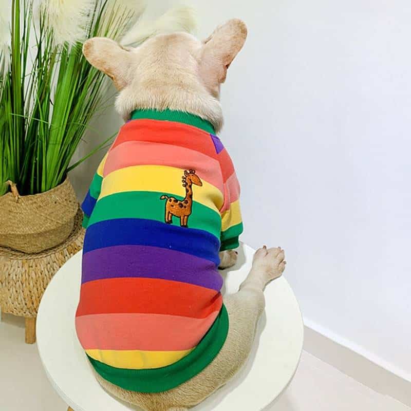 Matching Owner Clothes New Arrivals Warm Colorful Striped Owner and Pet Matching Hooides Set  My Pet World Store