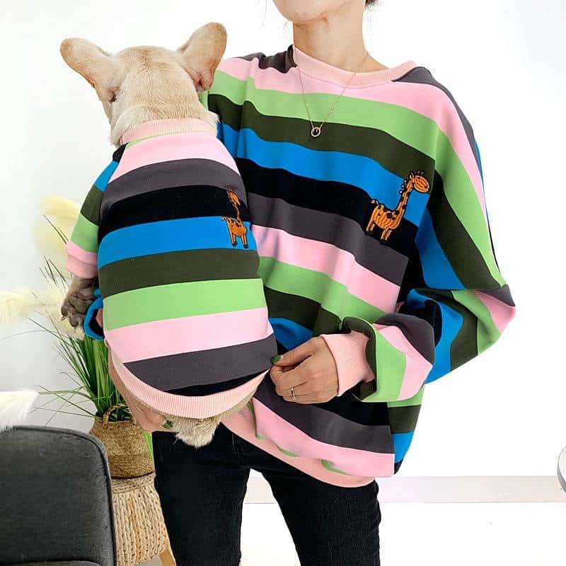Warm Colorful Striped Owner and Pet Matching Hooides Set