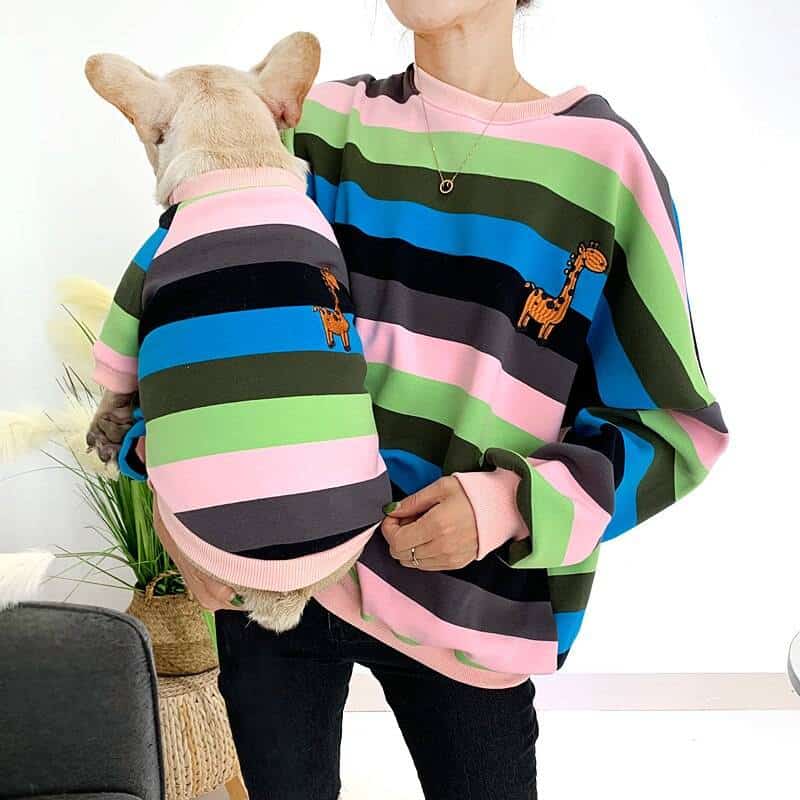 Warm Colorful Striped Owner and Pet Matching Hoodies Set