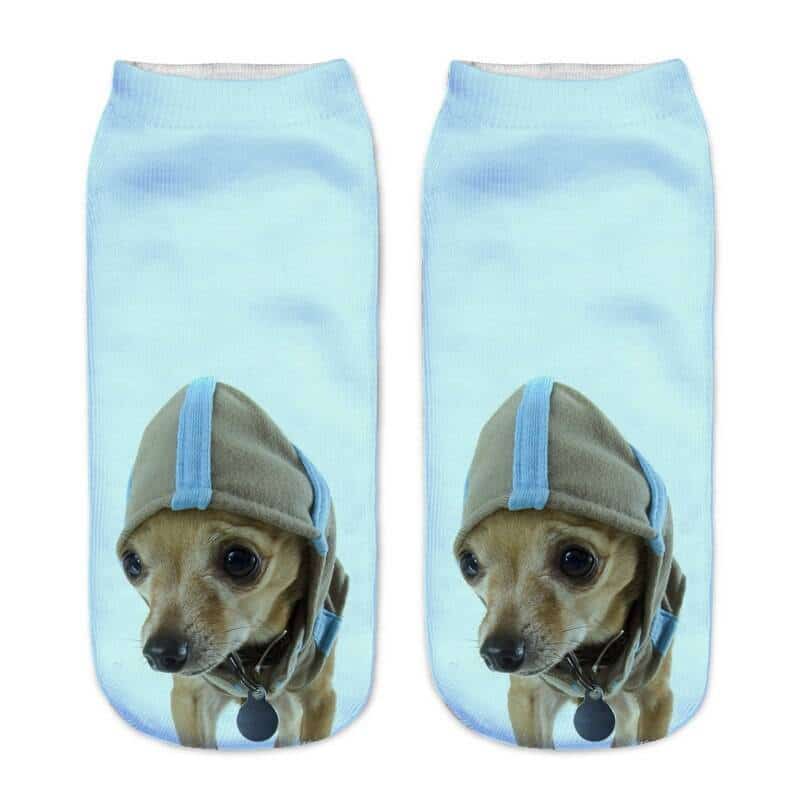 For Pet Fans Leggings & Socks Women's Little Dog 3D Print Socks  My Pet World Store