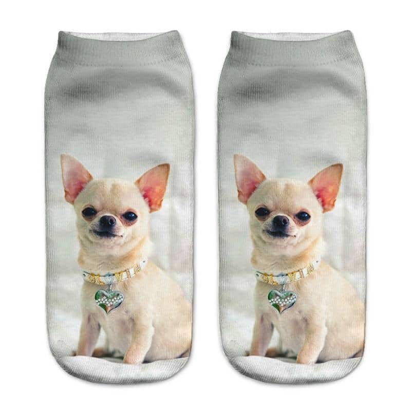 For Pet Fans Leggings & Socks Women's Little Dog 3D Print Socks  My Pet World Store