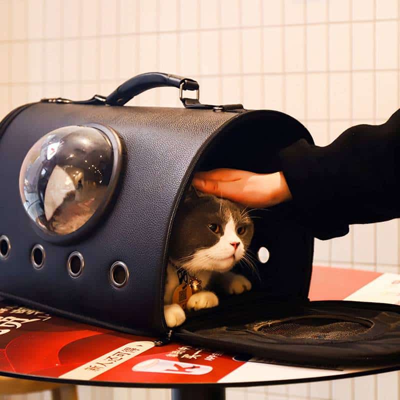 Portable Large-capacity Cat Bag Space Capsule
