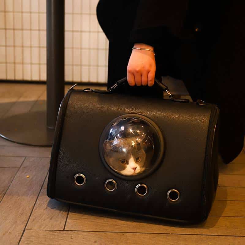 Portable Large-capacity Cat Bag Space Capsule