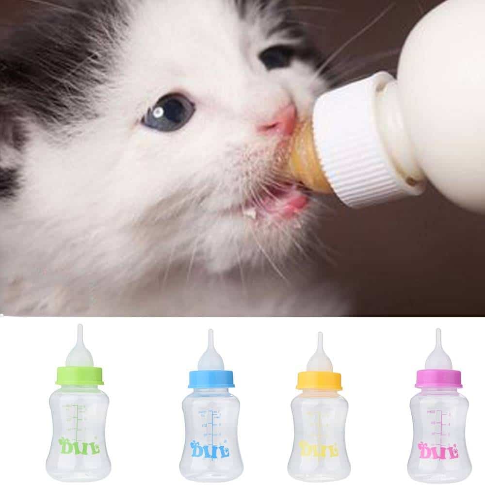 Dogs Feeding & Watering Accessories Puppy and Kitten Milk Feeding Bottle  My Pet World Store