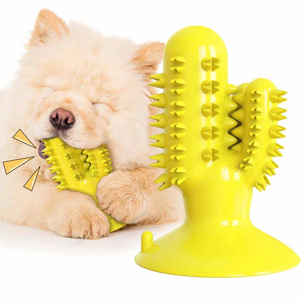 Dog Teeth Cleaning Chew Toy