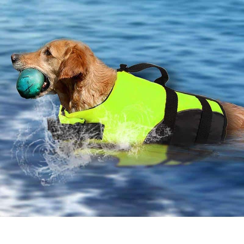 Dog Life Jacket Surfing Swimming Vest