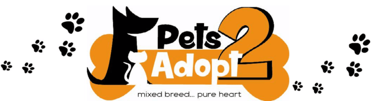 Pet Adopt Logo